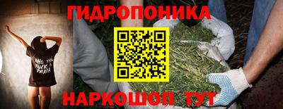 марихуана Кингисепп